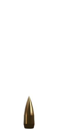 Profil Resmi